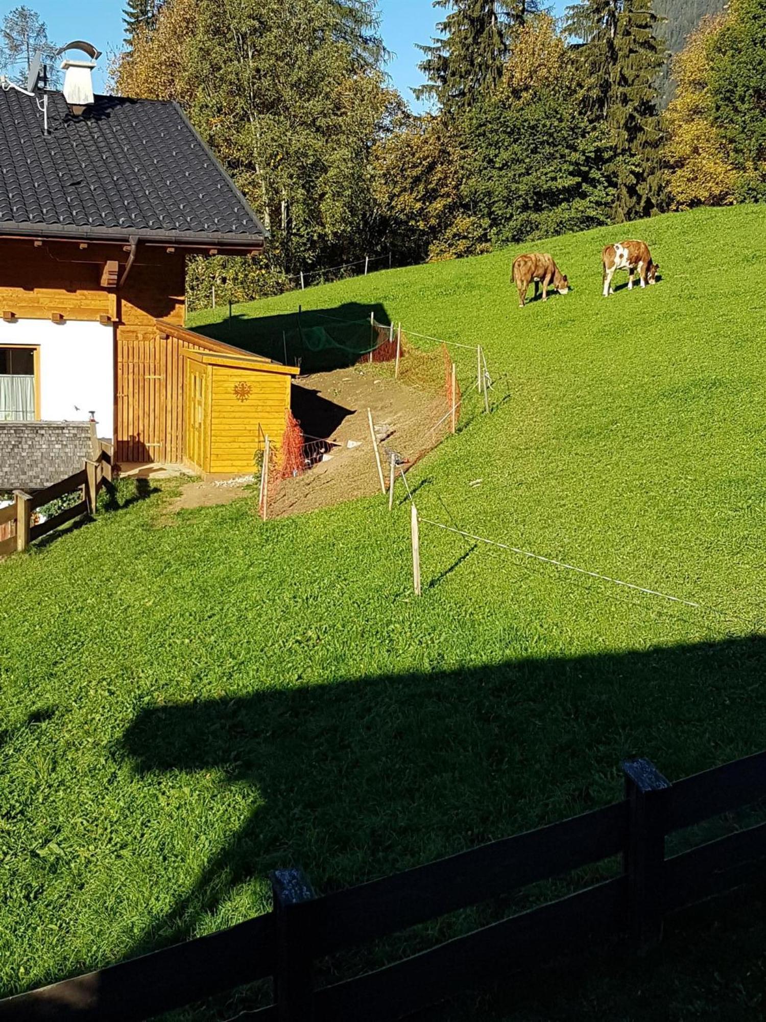 Haus Theresia Алпбах Екстериор снимка